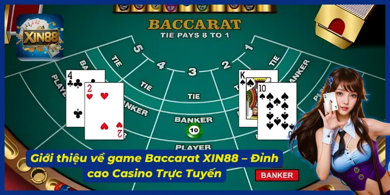 Baccarat XIN88 là game có lượng người tham gia ổn định
