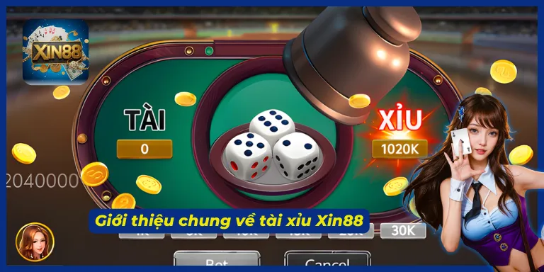 Tóm tắt vài nét về tài xỉu Xin88