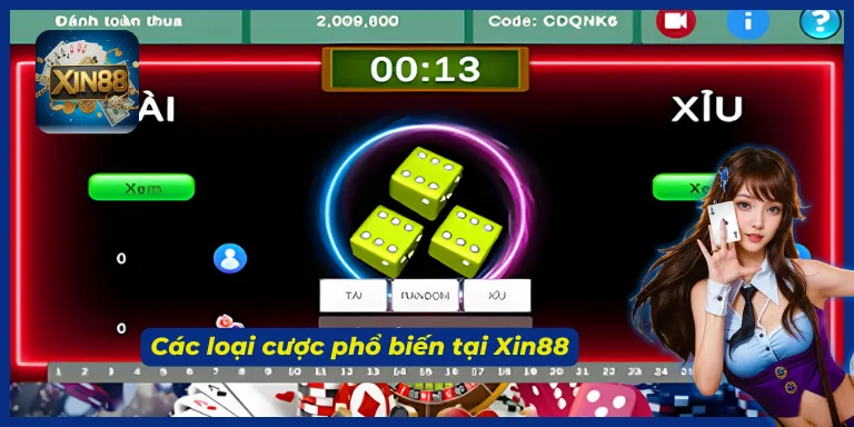 Từng bước làm quen với cách chơi Tài xỉu Xin88